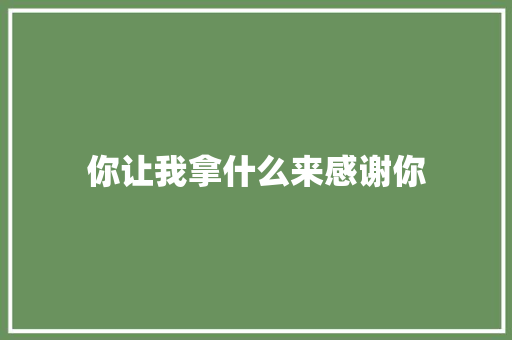 你让我拿什么来感谢你