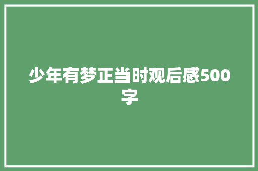 少年有梦正当时观后感500字