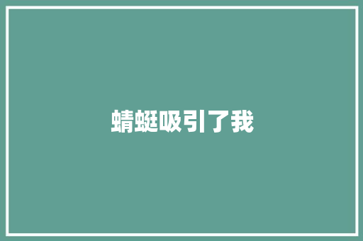 蜻蜓吸引了我
