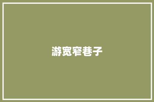 游宽窄巷子 知识百科