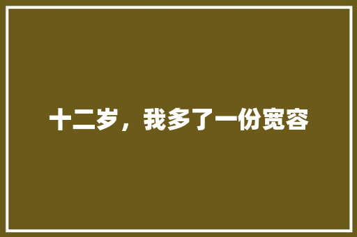 十二岁，我多了一份宽容