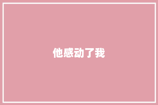 他感动了我