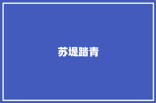 苏堤踏青