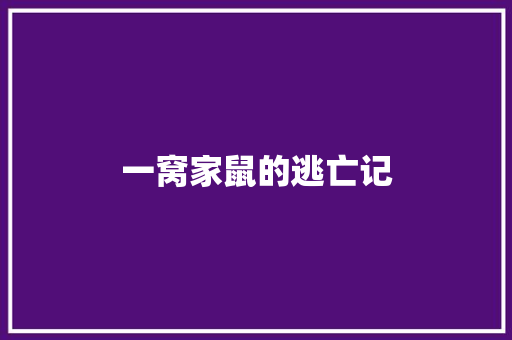 一窝家鼠的逃亡记