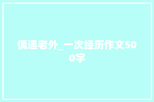 偶遇老外_一次经历作文500字