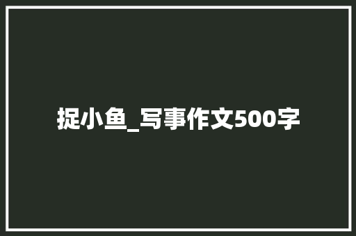 捉小鱼_写事作文500字