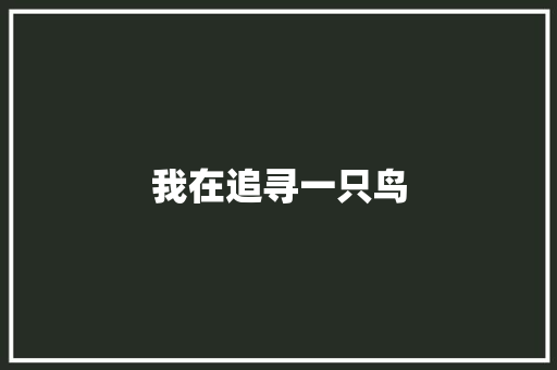 我在追寻一只鸟