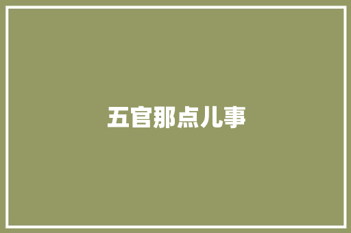 五官那点儿事