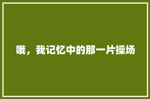 哦，我记忆中的那一片操场