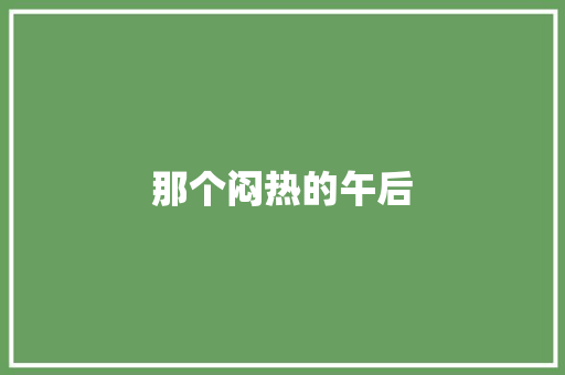 那个闷热的午后