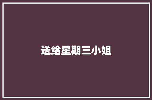 送给星期三小姐