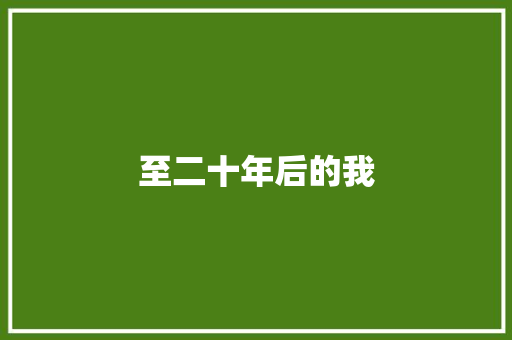 至二十年后的我