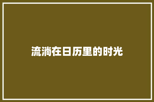 流淌在日历里的时光