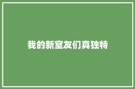 我的新室友们真独特