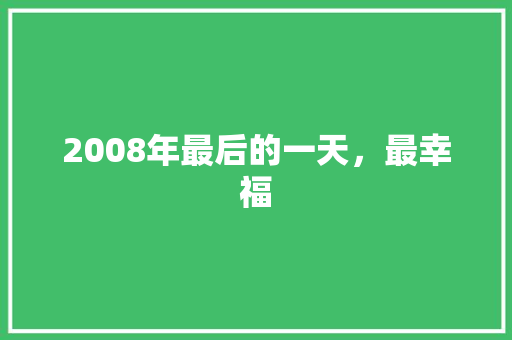 2008年最后的一天，最幸福