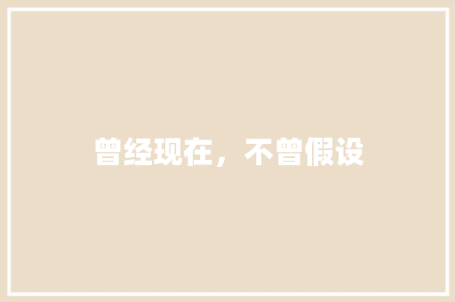 曾经现在，不曾假设