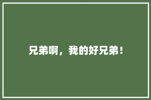 兄弟啊，我的好兄弟！