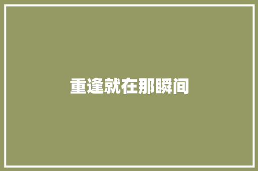 重逢就在那瞬间