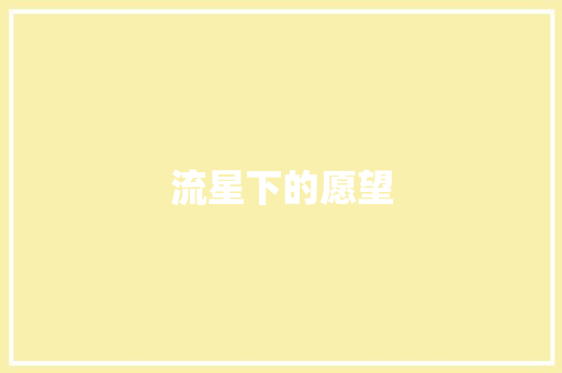 流星下的愿望