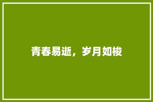 青春易逝，岁月如梭