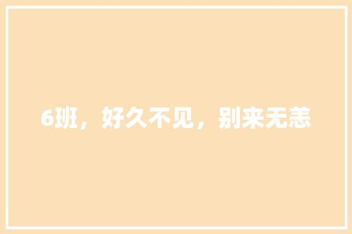 6班，好久不见，别来无恙