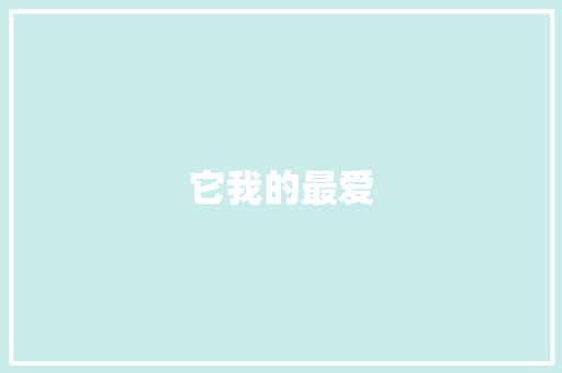 它我的最爱