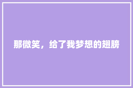 那微笑，给了我梦想的翅膀