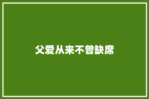 父爱从来不曾缺席
