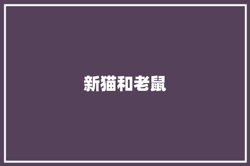 新猫和老鼠