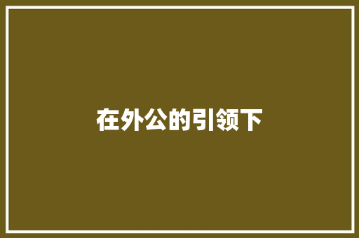 在外公的引领下