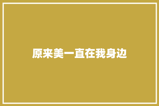 原来美一直在我身边