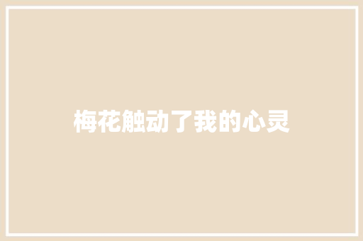 梅花触动了我的心灵