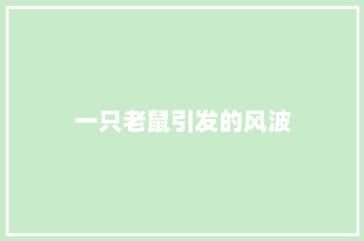 一只老鼠引发的风波