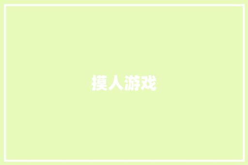 摸人游戏