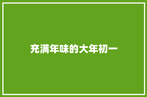 充满年味的大年初一