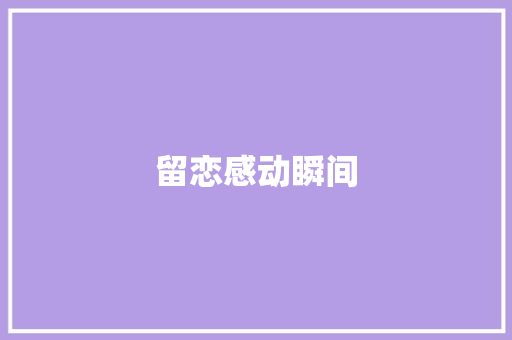 留恋感动瞬间