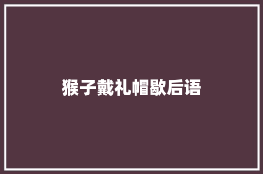 猴子戴礼帽歇后语 知识百科
