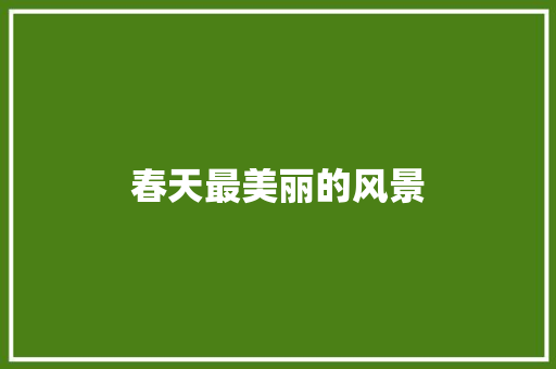 春天最美丽的风景