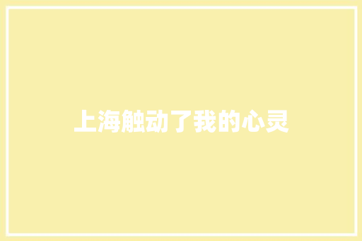 上海触动了我的心灵