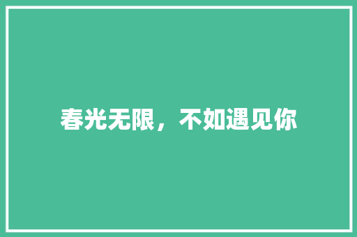 春光无限，不如遇见你