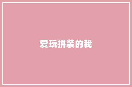 爱玩拼装的我