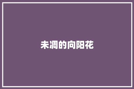 未凋的向阳花