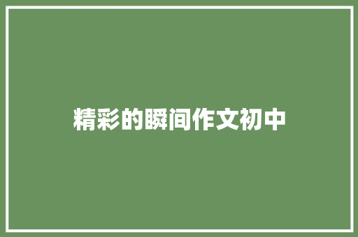 精彩的瞬间作文初中