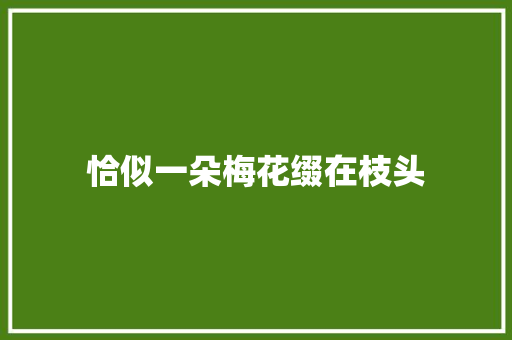 恰似一朵梅花缀在枝头