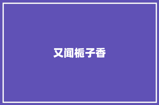 又闻栀子香
