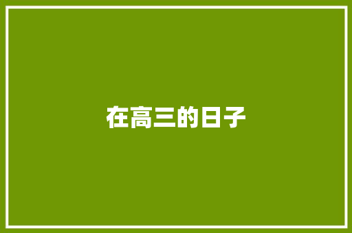 在高三的日子