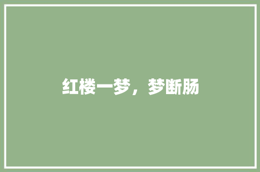 红楼一梦，梦断肠