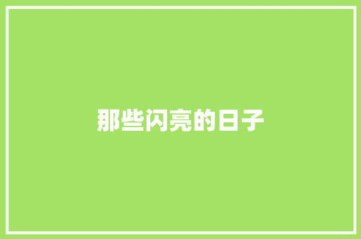 那些闪亮的日子
