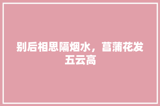 别后相思隔烟水，菖蒲花发五云高