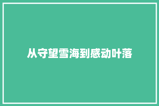 从守望雪海到感动叶落